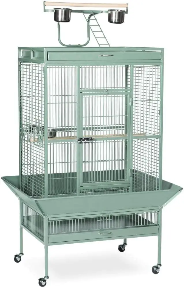 Products Wrought Iron Select Bird Cage 3153SAGE, Sage Green, 30-Inch by 22-Inch by 63-Inch