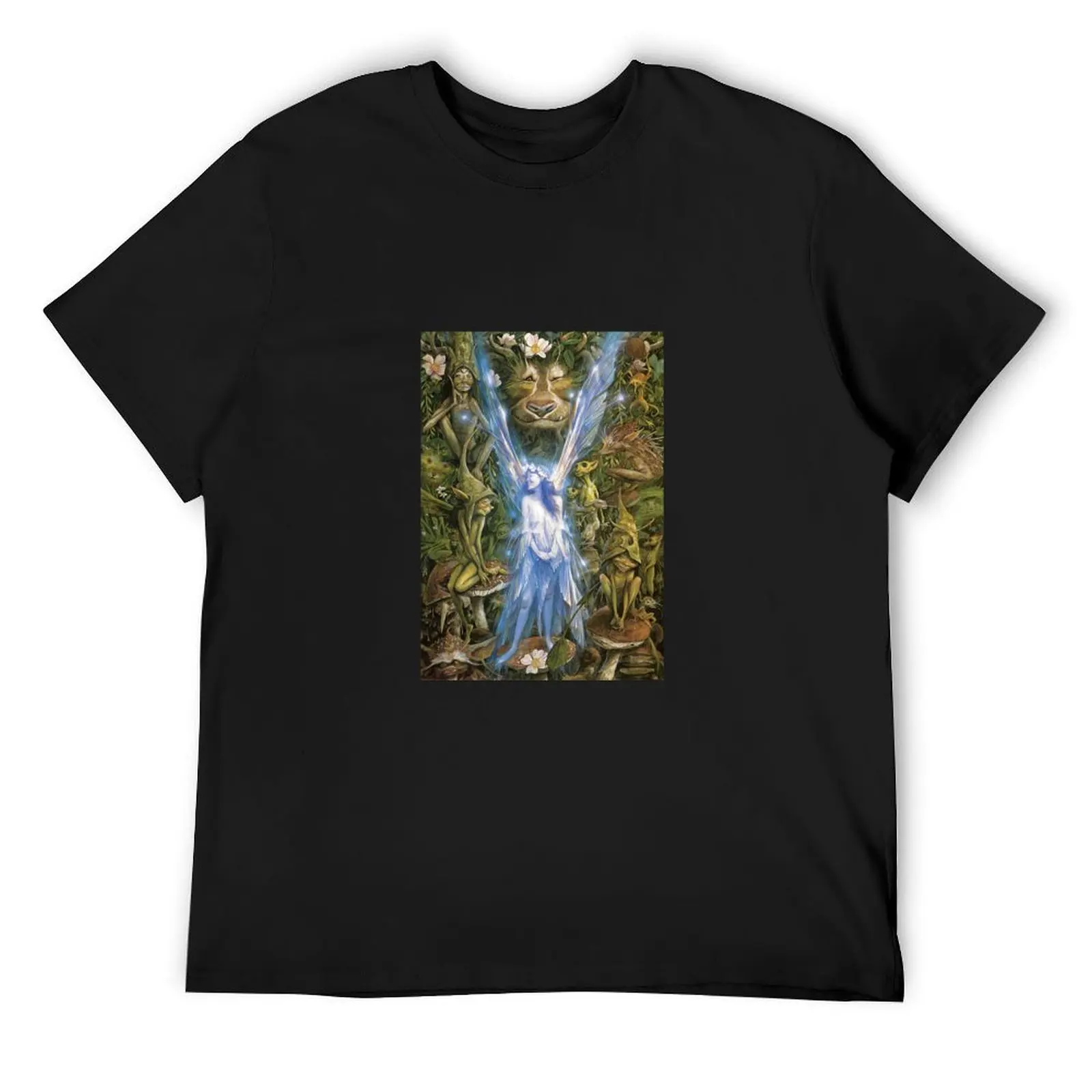 Brian Froud - The Faery Who Was Kissed by the Pixies T-Shirt anime figures shirts graphic oversized t shirt men