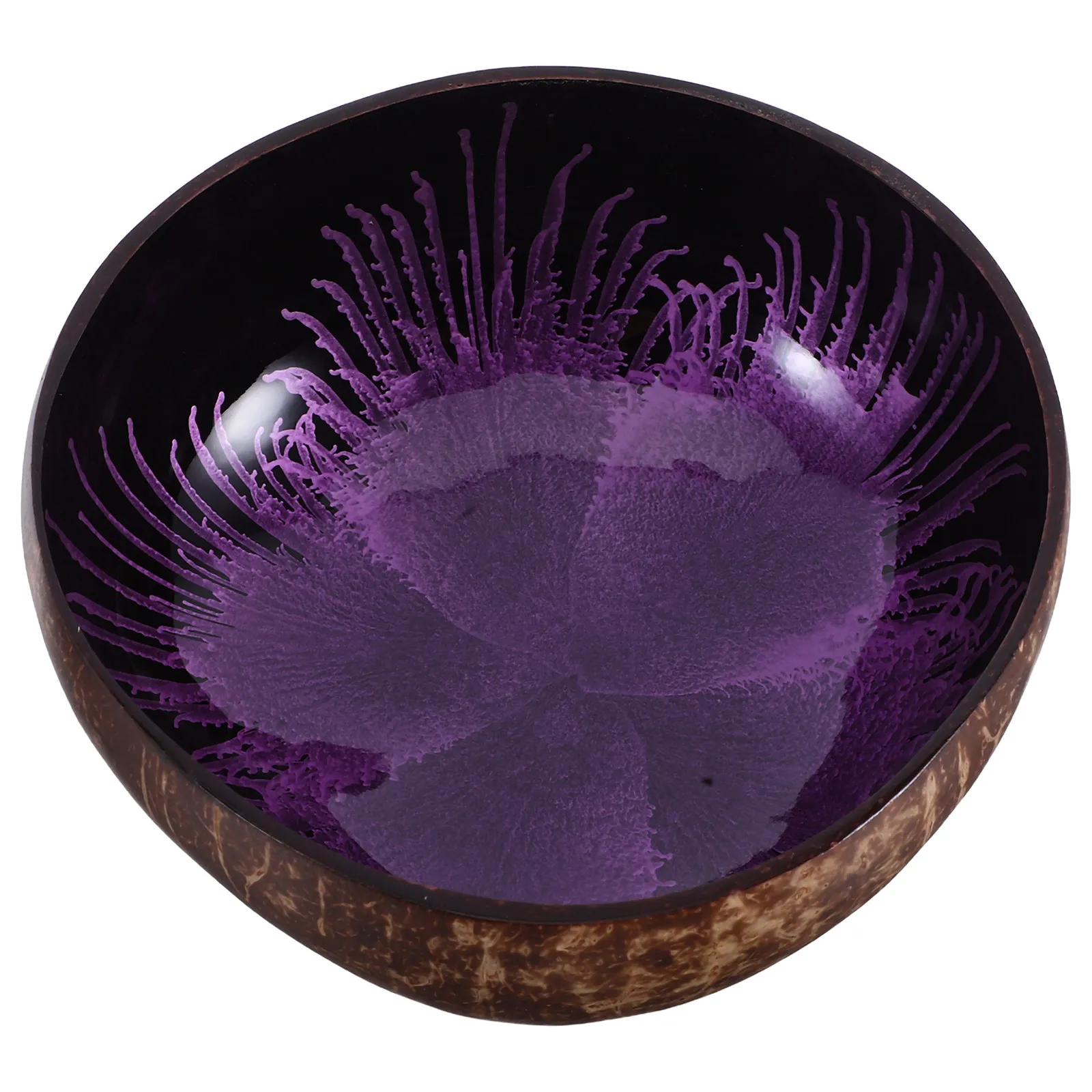 Natural Coconut Shell Bowl Versatile Candy Holder Key Storage Container Dessert Bowl Fruit Serving Tray Ring Tray Desktop