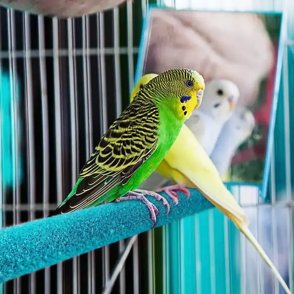 Barra de molienda de pico de garra de pájaro, palo de pie, poste de estación de loro, suministros de aves, soporte de molienda, accesorios de jaula