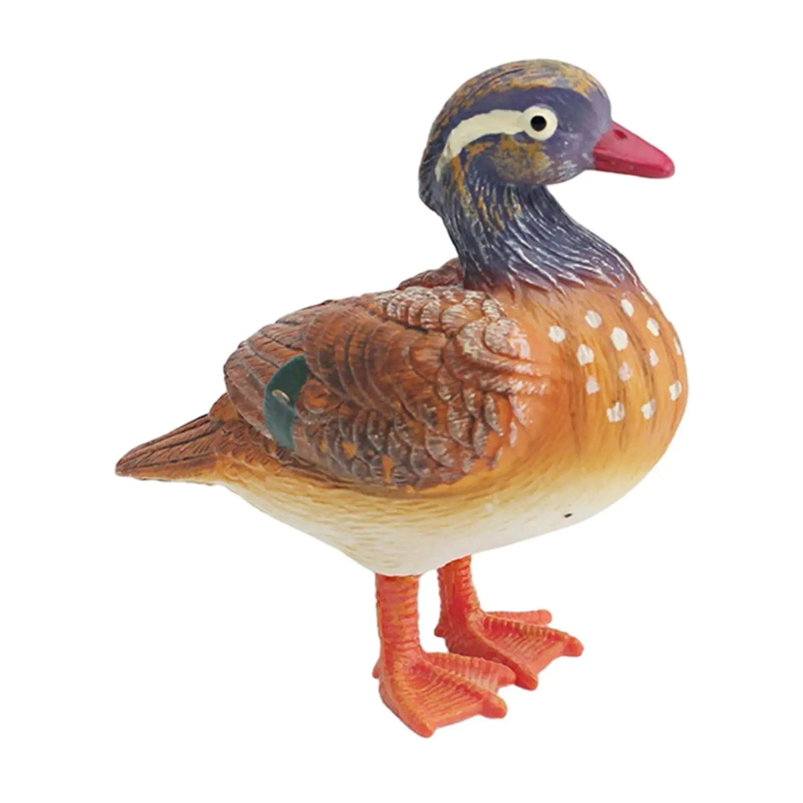 Simulation Bird Figures Toy Bird Figurines Handpainted Collectible Miniature Birds Decor Bird Model for Cake Toppers Supplies