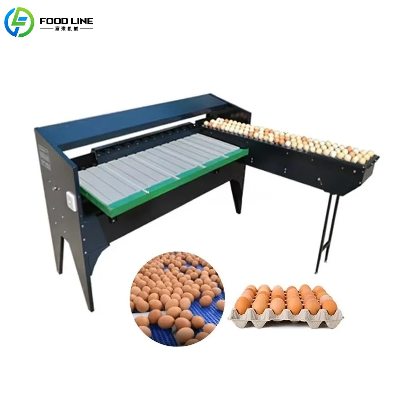 Customized Egg Grading Machine High Precision Weight Sorting Machine Adjustable Grades for Chicken & Duck Eggs