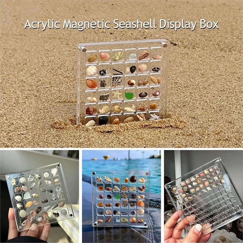 A16R-Acryl Magnetische Muschel Display Box, Transparente Acryl Muschel Lagerung Box Display Box (36 Grids)