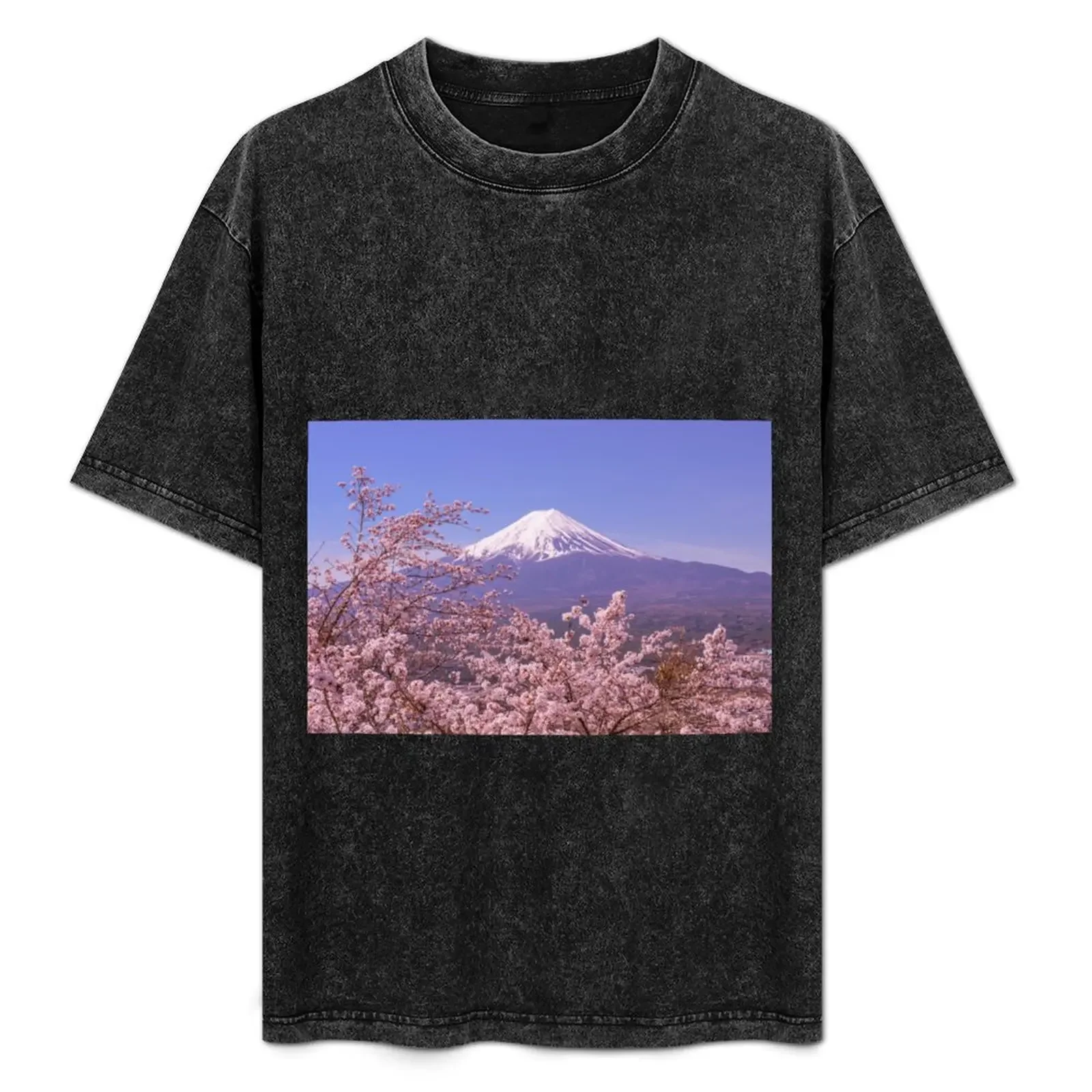 

Mount Fuji in spring T-Shirt heavyweights vintage anime shirt vintage graphic tee t shirt for men