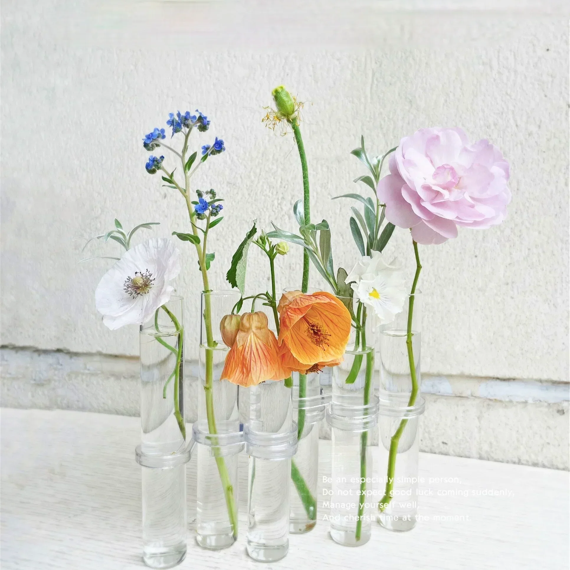 Clear Glass Vase Tubes Set Hanging Flower Holder Plant Container  Flower Vases for Homes Room Decor