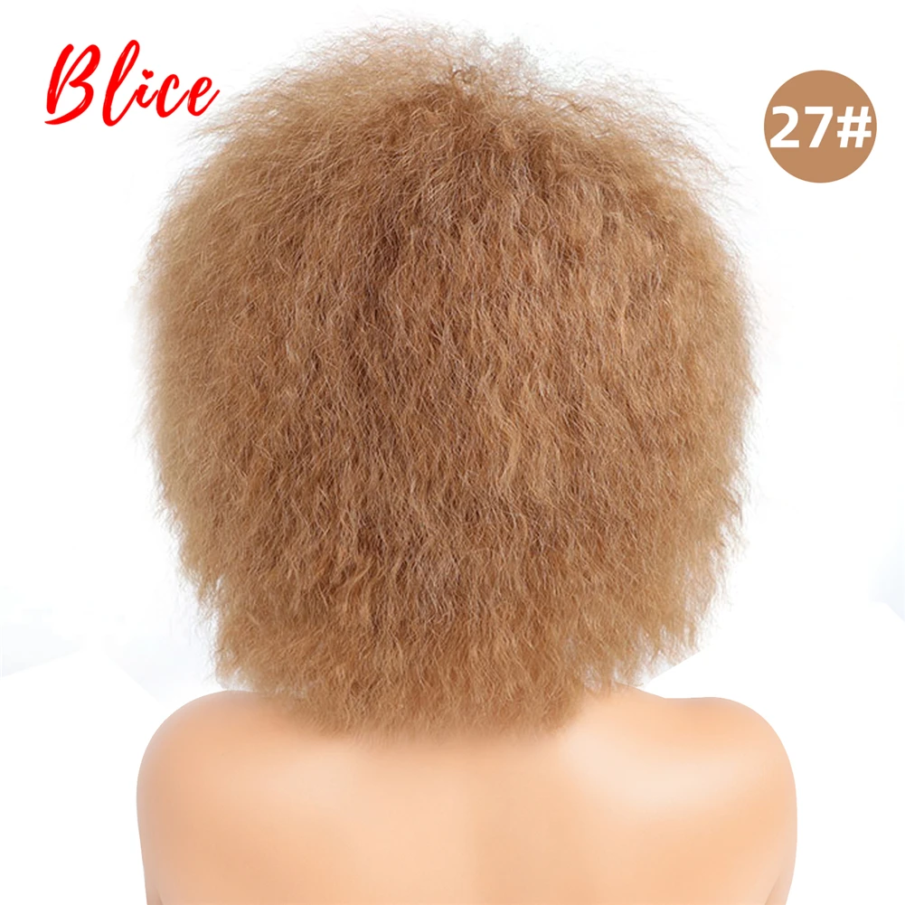 Blice 6 Zoll kurze synthetische Perücken verworrene gerade Kanekalon hitzebeständige natürliche schwarze Frauen Afroamerikaner Afro volle Perücke – Detail 12