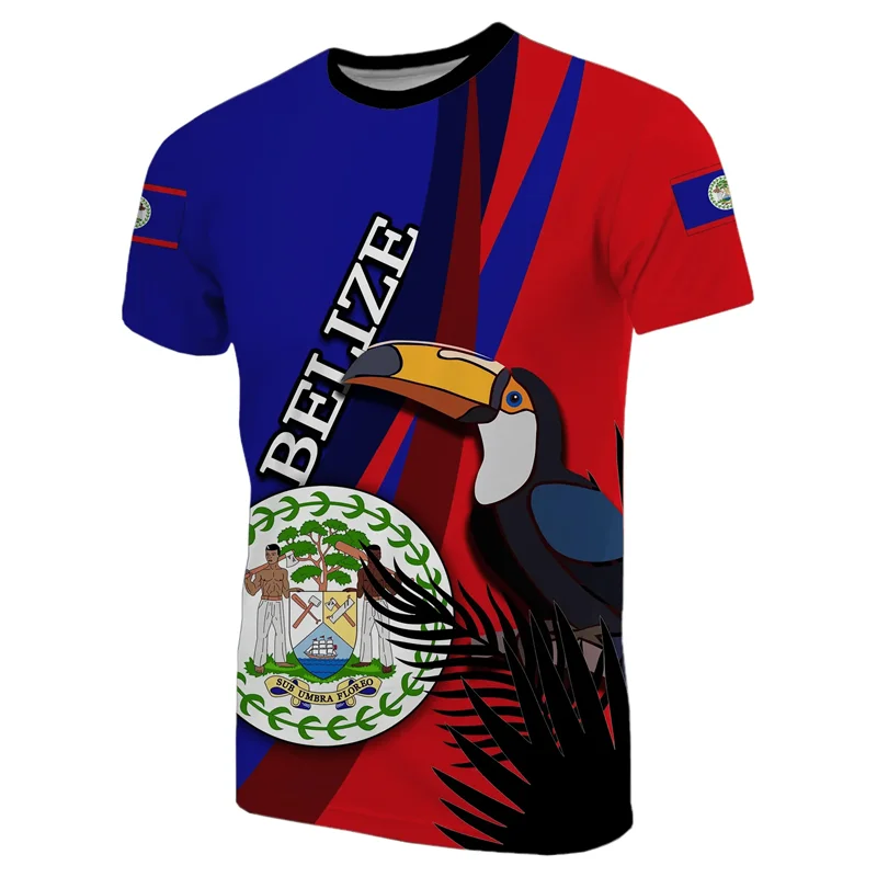 Belize Flag 3D Printed T Shirt For Men Outdoor Sports Short Sleeve T-shirt Tracksuits Outwear Summer Oversized Tee Shirts