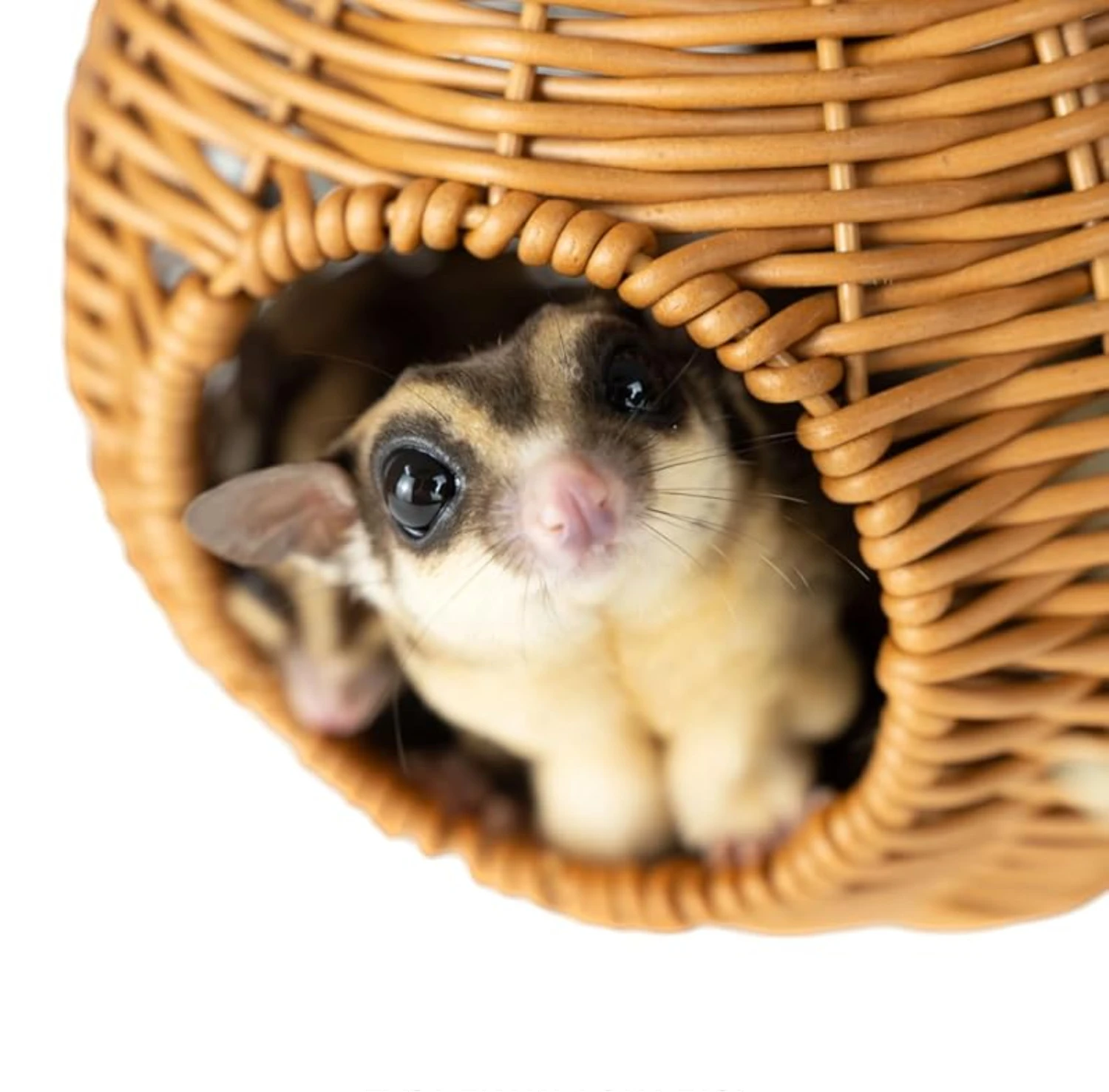 Thumbnail 3 - #12 Hamster Cages Comparison Guide