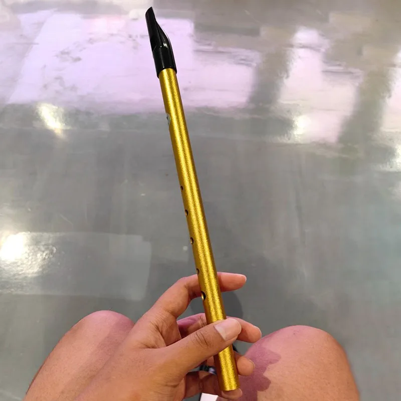 

Портативный металлический свисток с 6 отверстиями для студентов и профессионалов, для начинающих взрослых, традиционный музыкальный инструмент