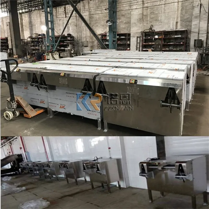 Máquina automática de descascarado y pulido de coco, piel marrón de coco seca antigua, máquinas peladoras