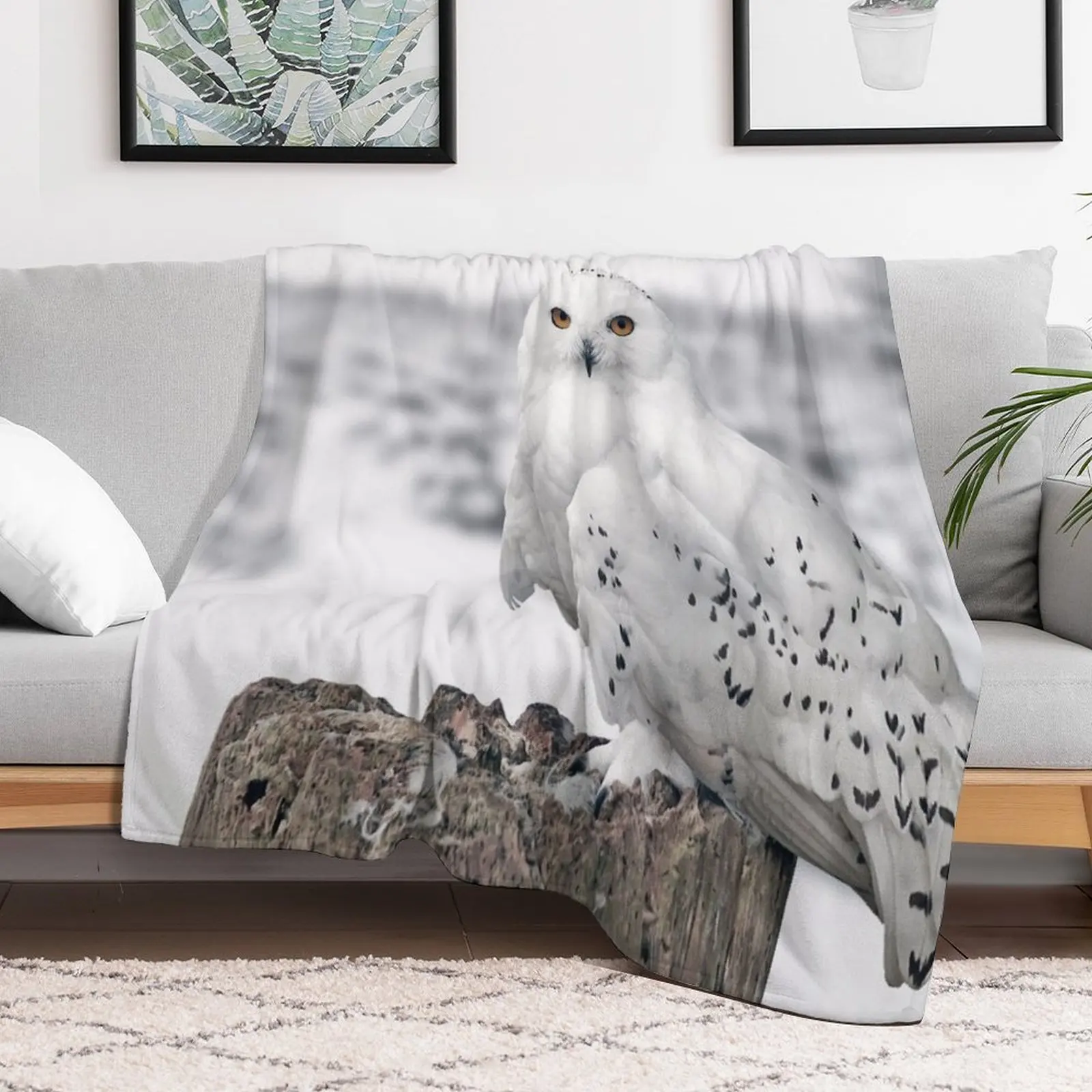 owl in the snow Throw Blanket Thins Bed linens Furrys Blankets For Sofas Blankets