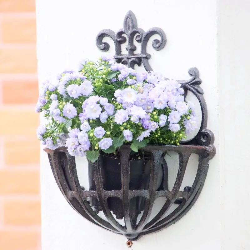 حامل زهور حديد على الطراز العتيق للعصارة والنباتات بوعاء وعاء الأوركيد على شكل فراشة وفناء الشرفة