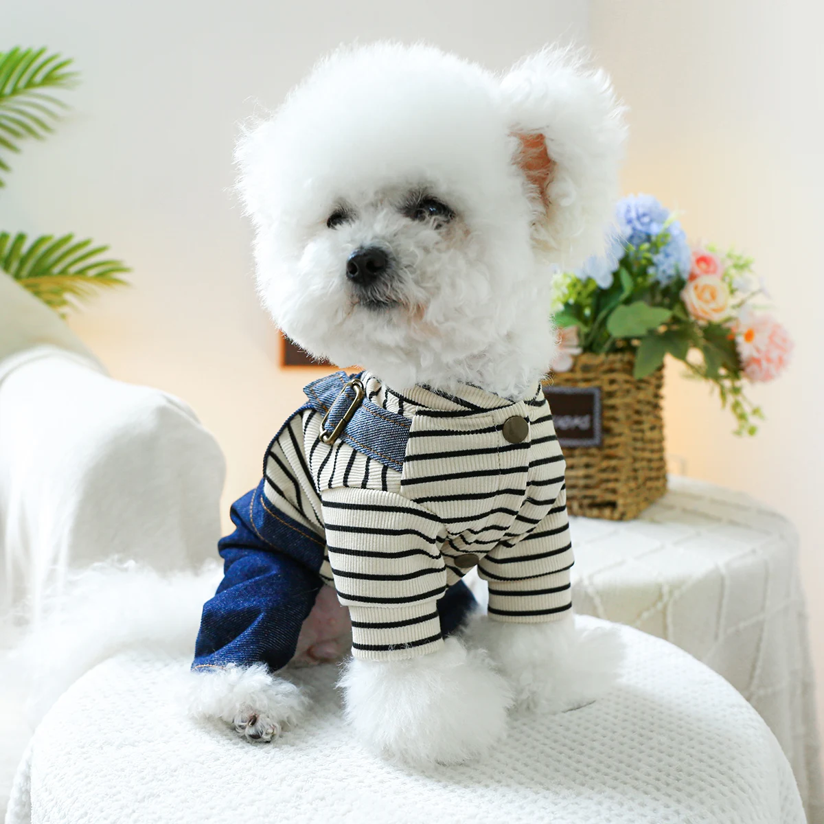 1PC Pet Clothing Spring and Autumn Love Retro Four Legged Strap Pants Suitable for Small and Medium sized Dogs