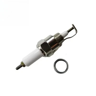 

D977058502 Spark Plugs Wholesale for F141Cn for Asphalt Paver