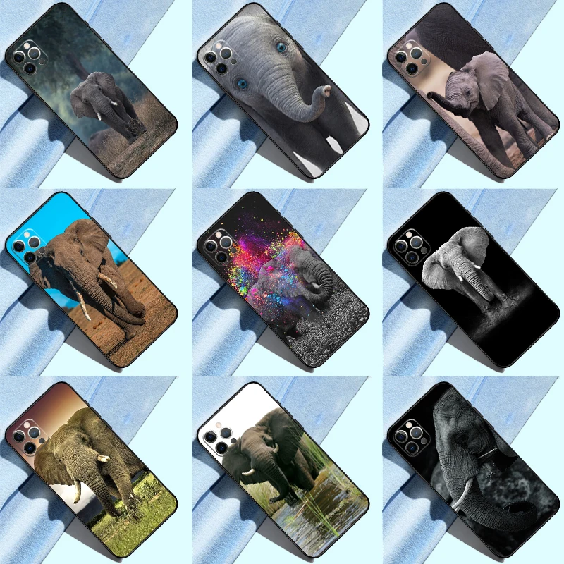 Animal Elephant Cov… - image