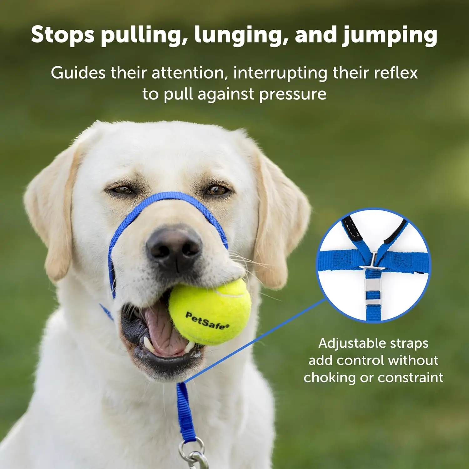 Gentle Leader Headcollar No-Pull Dog Collar Helps Improve Walks Durable Nylon Construction Padded Nose Loop Adjustable Fit