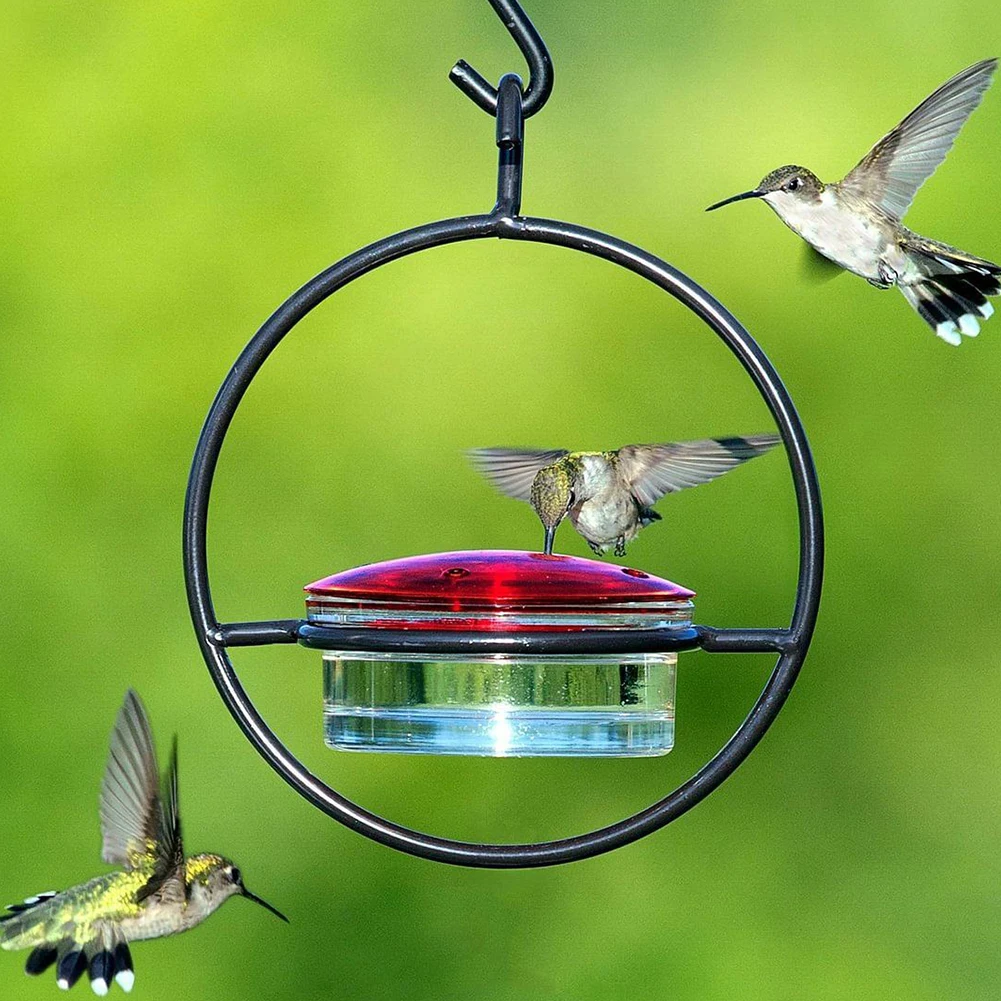 Hummingbird Feeder Tray Ant Bee Proof Hummingbird Drinker Feeder with Red Glass Bowl for Outside Garden Backyard Patio Deck