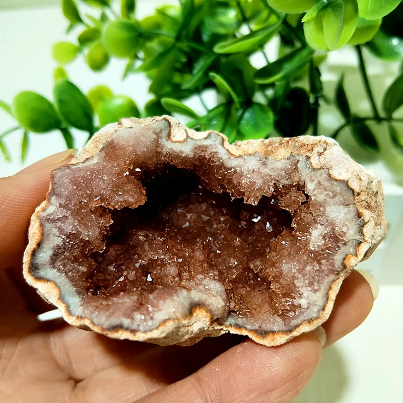 

Argentina Natural Pink Amethyste Stone Quartz Raw Crystal Geode Real Mineral Spiritual Healing Crystals Room Decoration