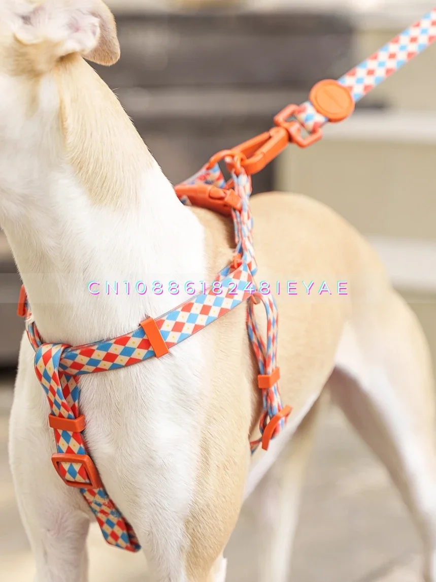 PVC wasserdichte Haustierleine, kleines mittelgroßes Hundegeschirr und Leine-Set, Arnes Perro Schnauzer, französische Bulldogge, Halsband, Hundezubehör