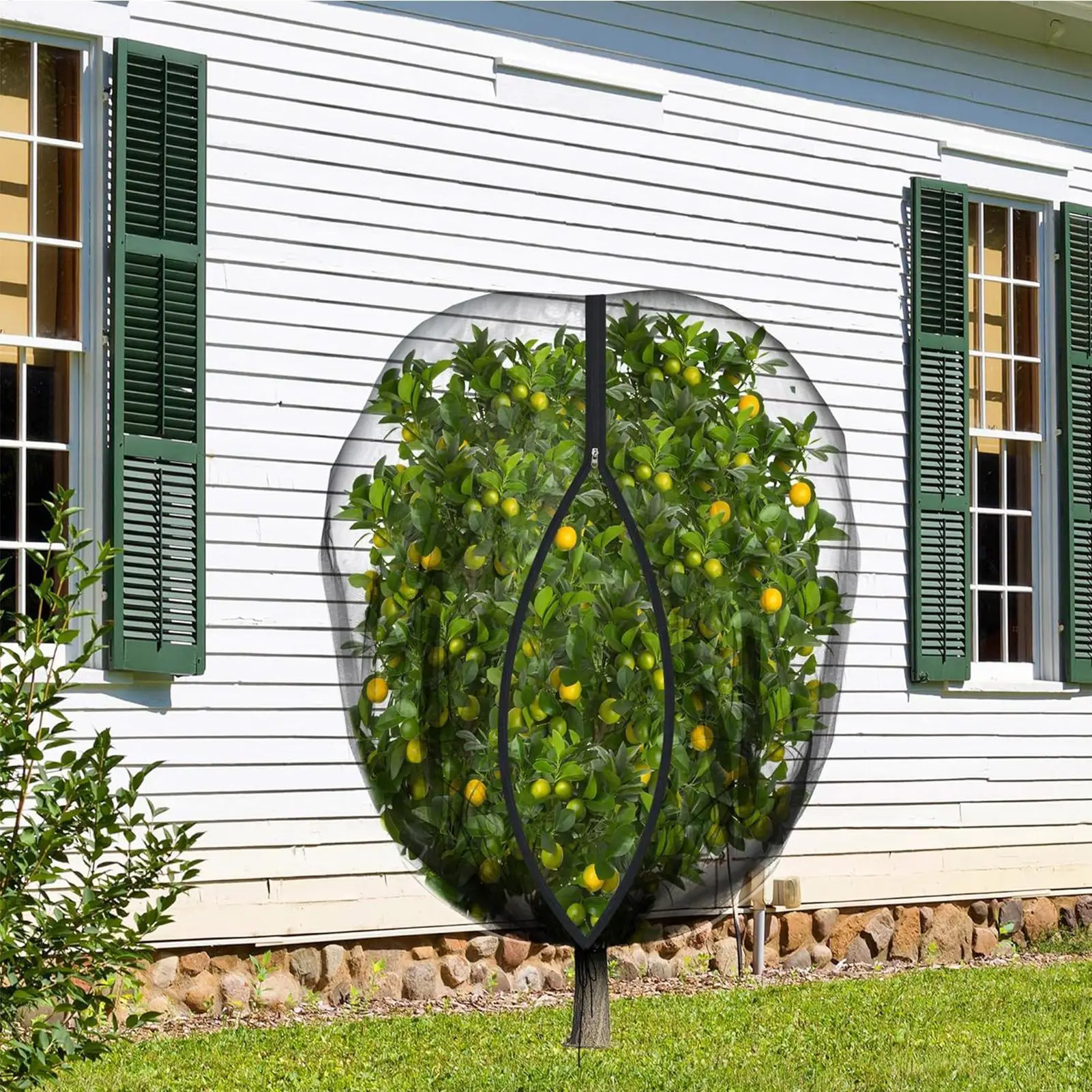 

Fruit Tree Net Garden Squirrel Mesh Breathable Fruit Tree Net For Fig Greenhouse Berry Garden Raised Bed Blueberry Tomato