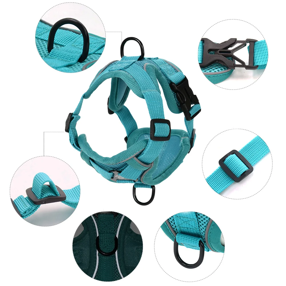 Thumbnail 3 - #50 Latest Puppy Harnesses Updates