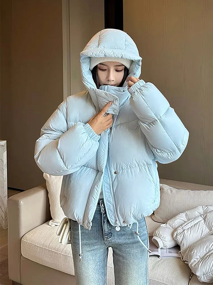 Winter Women\'s Down Coat Detachable Double Sleeve Hooded Jacket 2024 New Triangle Label Fluffy Women\'s Jacket Parka Coat