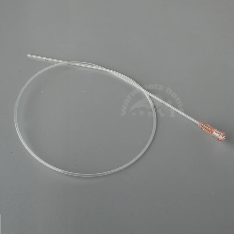 12pcs Pet Dog Urinary Catheter for Single Use Side Open Catheter For Dogs Veterinary Accessories