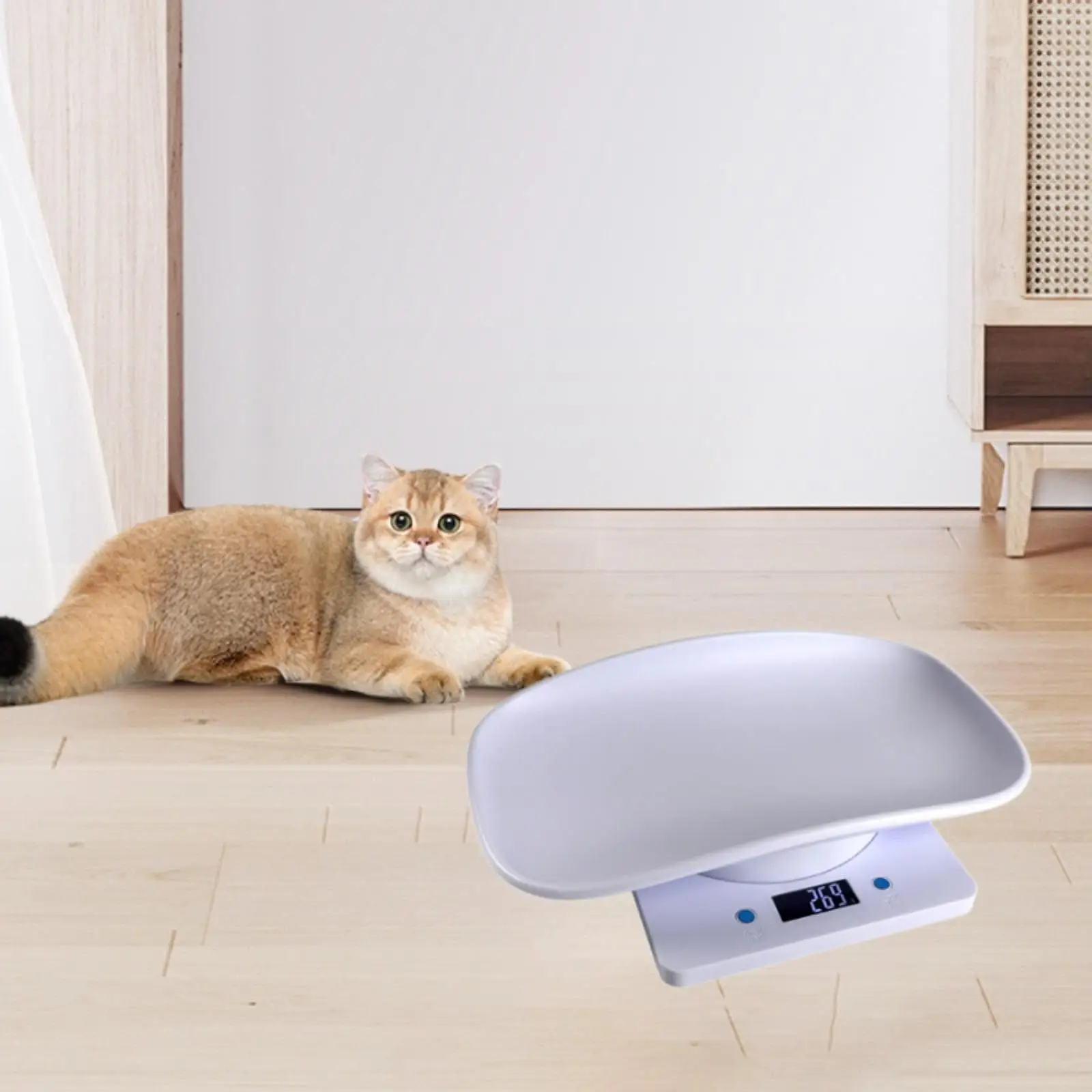 Digital Scale 33lb/15kg Vegetables Fruits Kitchen Electronic Weight Scale Puppy Scale for Dogs Kittens Hamster Small Animals Pet