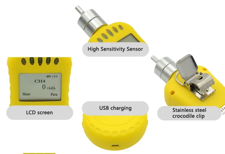 Portable PH3 Gas Detector With Pumping Sampling For Fumigation Monitoring