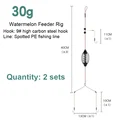 30g 2pcs