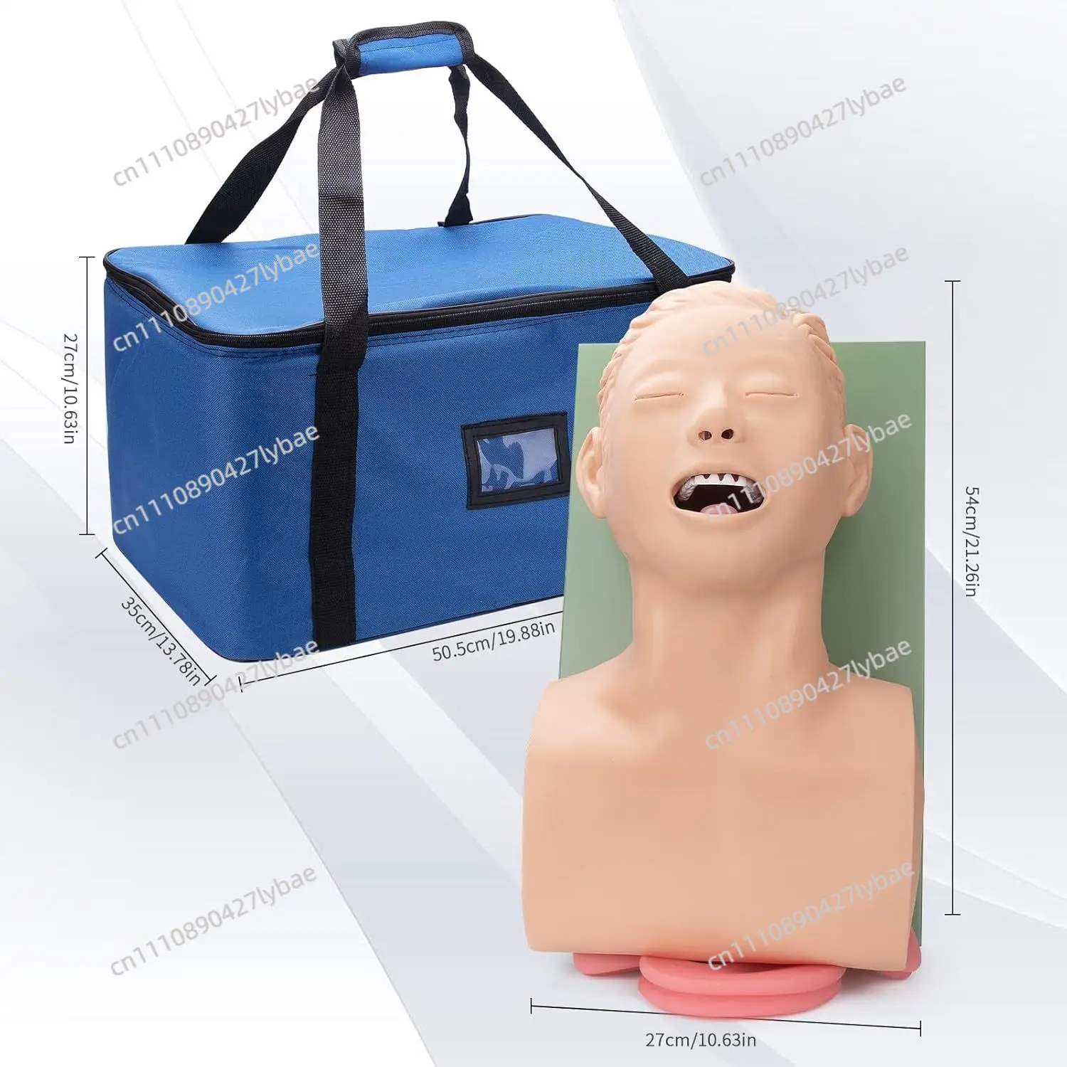 220V 110V Adult Airway Management Trainer Tracheal Intubation Training Simulator Model Airway Managment Trainer with Tube