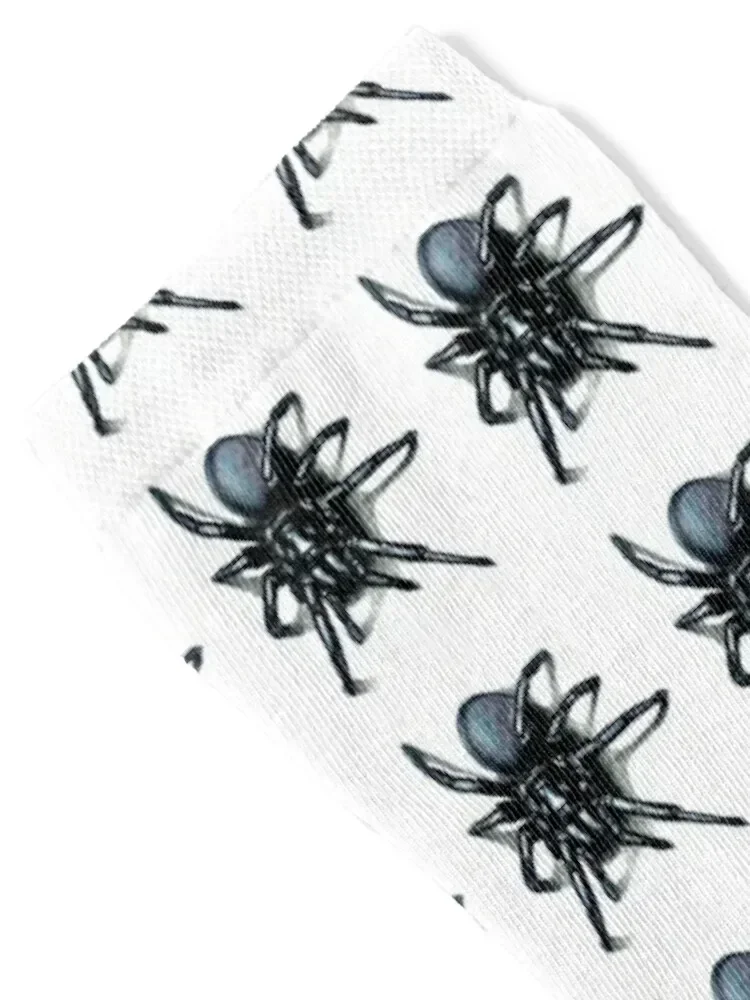 Funnel Web Spider Socks designer football Boy Socks Women's