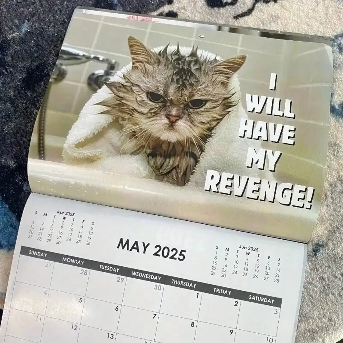 1Pc 2025 Angry Cat Calendar Monthly Wall Planner With Creative Design 12 Month Calendar