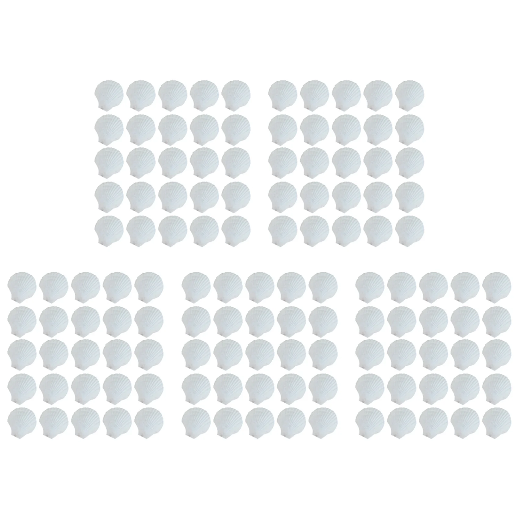 125Pcs Natural Scallop Shell, Special For Handmade DIY Creative Production Handmade DIY Creative Coloring Shell