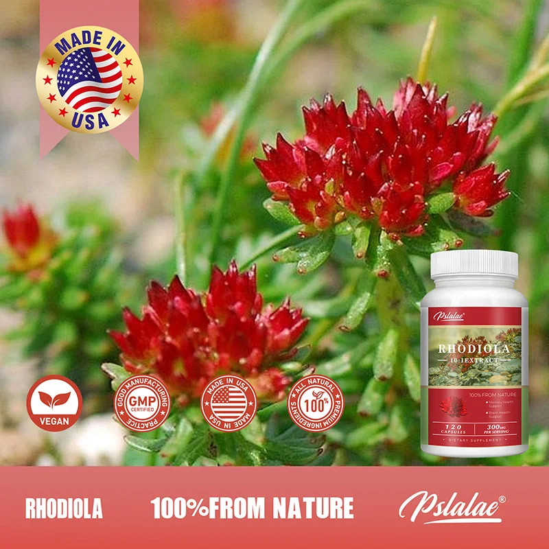 Rhodiola Rosea - Stress abbau, natürliche Stimmung und Fokus unterstützung, natürlicher Energie schub