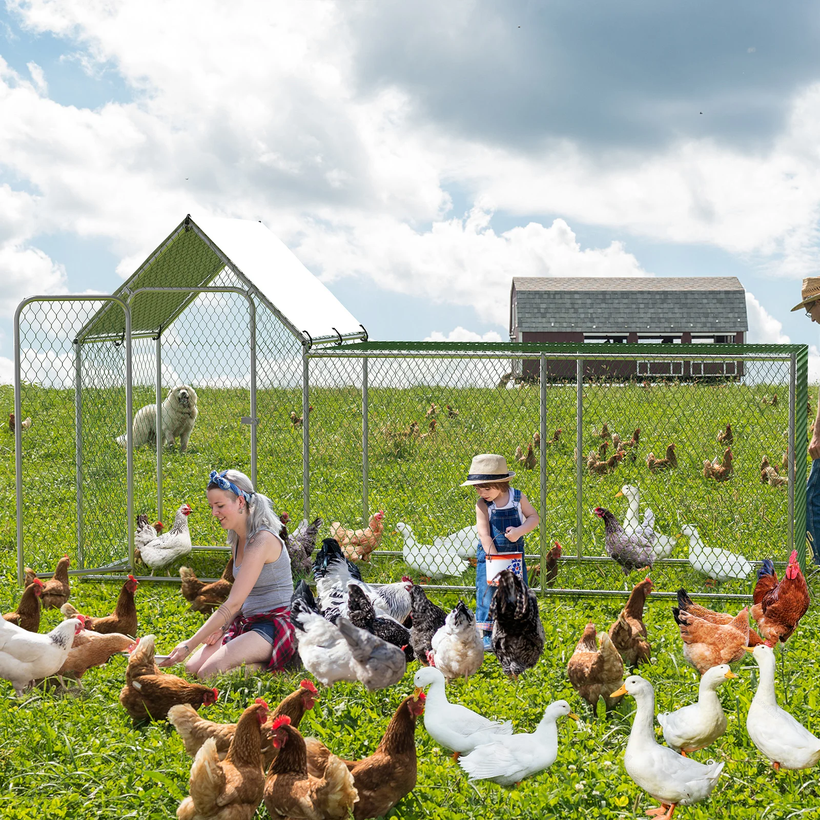 Large Metal Chicken Coop Chicken Run with Waterproof and Anti-UV Cover Walk-in Chicken Pen for 6/10 Chickens Large Chicken Coop