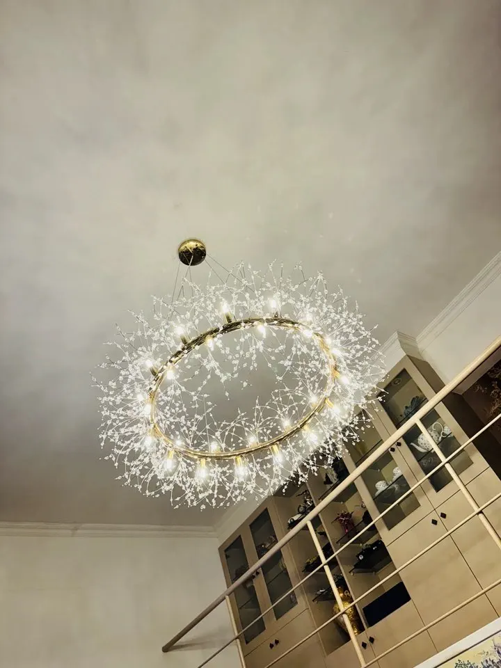 Modern Style Frosted Flower Chandelier
