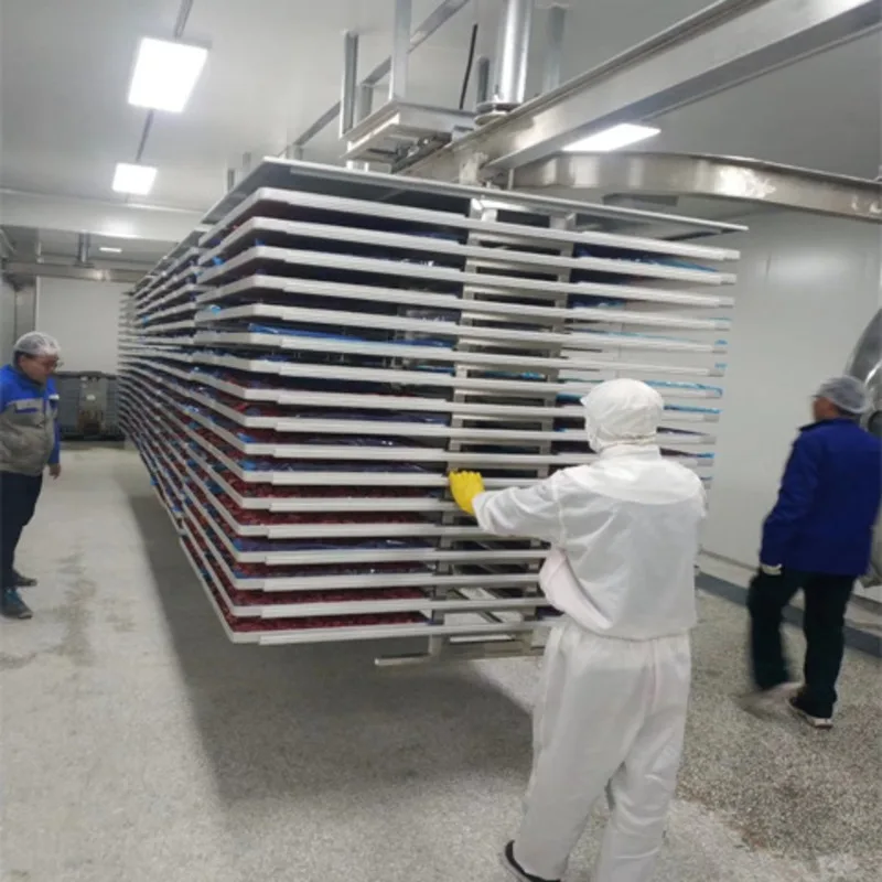 الفراولة التوت الفاكهة والخضروات هش الأرز الدبق هش FD درجة حرارة منخفضة فراغ تجميد مجفف #4