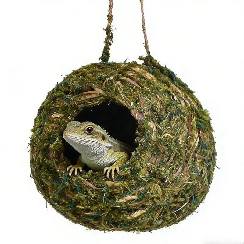 Terrarium Decoratio…