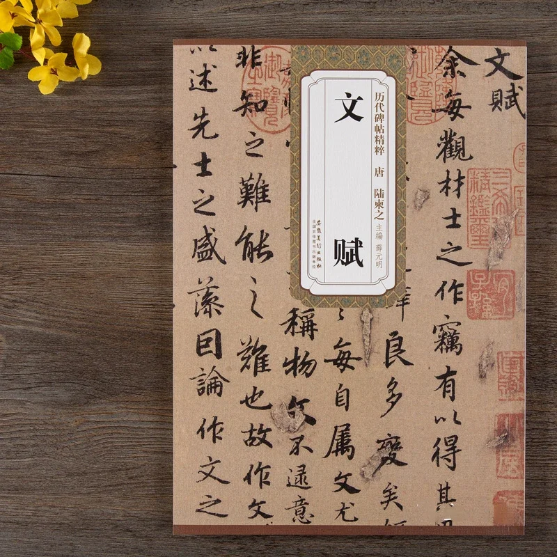 Chinese Zhao Mengfu Small Regular Script Brush Calligraphy Copybook Ouyang Xun Running Script Calligraphy Copybook Quaderno Book