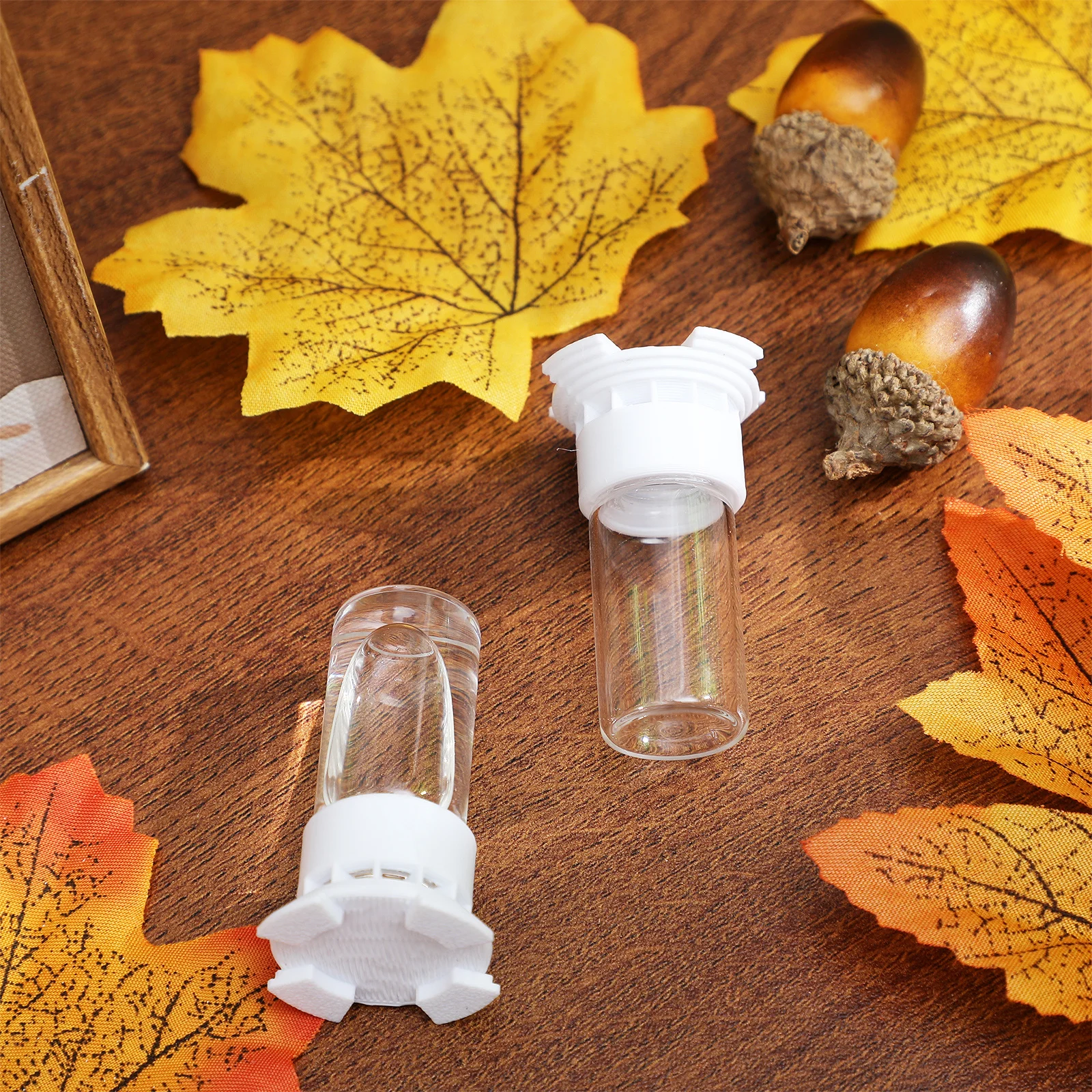 

2Pcs Ant Waterer Cups Durable Material Easy Operation Portable Water Supply for Ant Garden Water Feeder