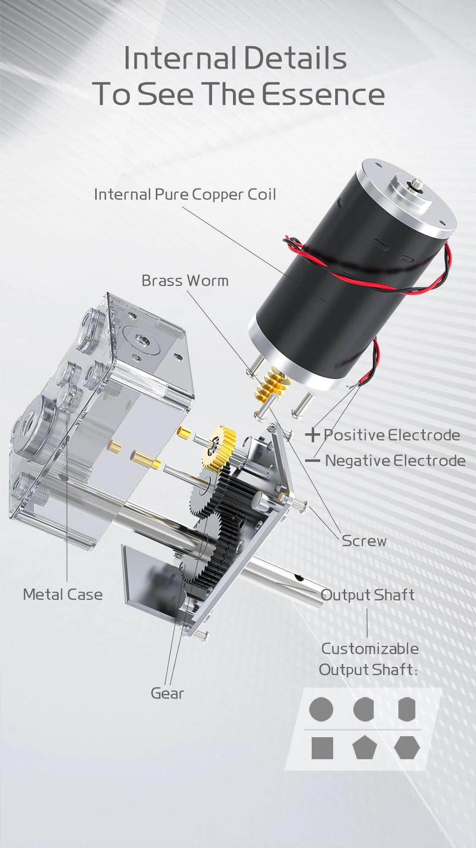 Bringsmart 12V Doppelwellen-Gleichstrommotor mit Schneckengetriebe, hohes Drehmoment 70KG.CM, 24 Volt Motor mit D-Welle, Schneckenreduzierer, reversierbar – Detail 8