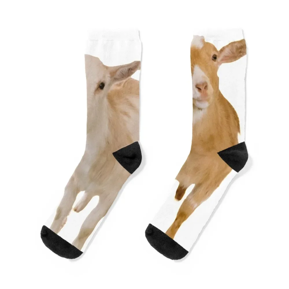 

Goats! Socks anti-slip Men's floral Male Socks Women's