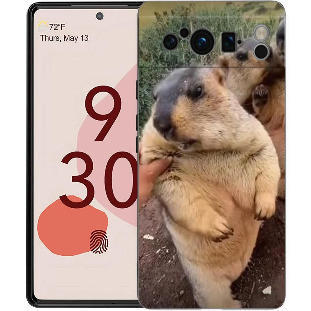 marmot Phone Case For Google Pixel 9 8 7 6 Pro XL 8A 6A 7A 5G Soft Shockproof TPU Black Cover Fundas