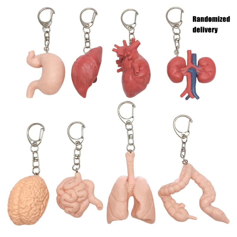 Sturdy Organ Inspired Holder for Trendy Adults Facing Heartbreak Daily Use
