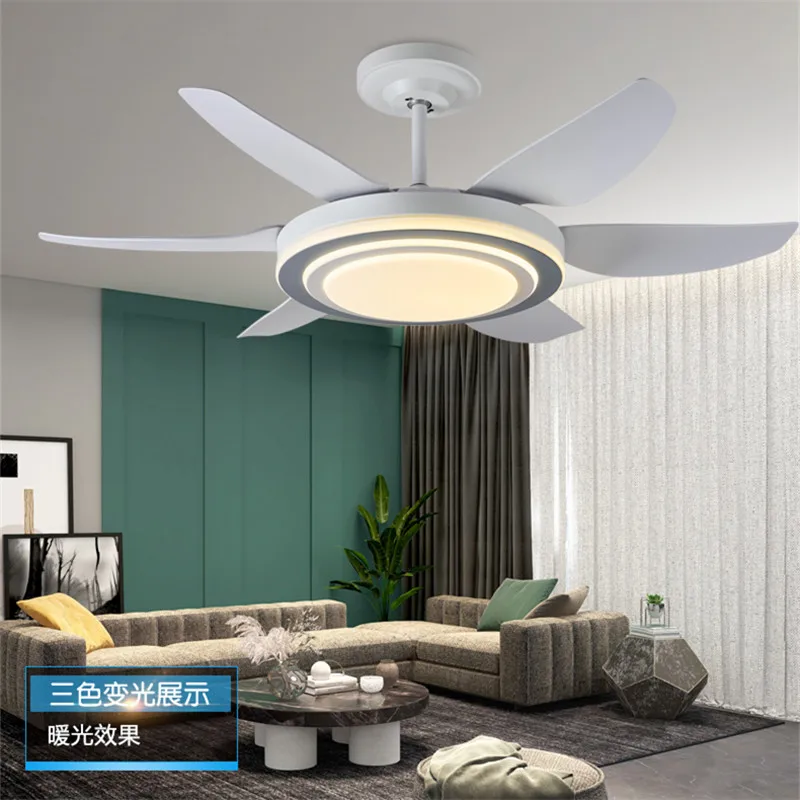 TYLA Fan Light Nordic LED Ceiling Fan Light Modern Minimalist Restaurant, Living Room, Bedroom Commercial Electric Fan