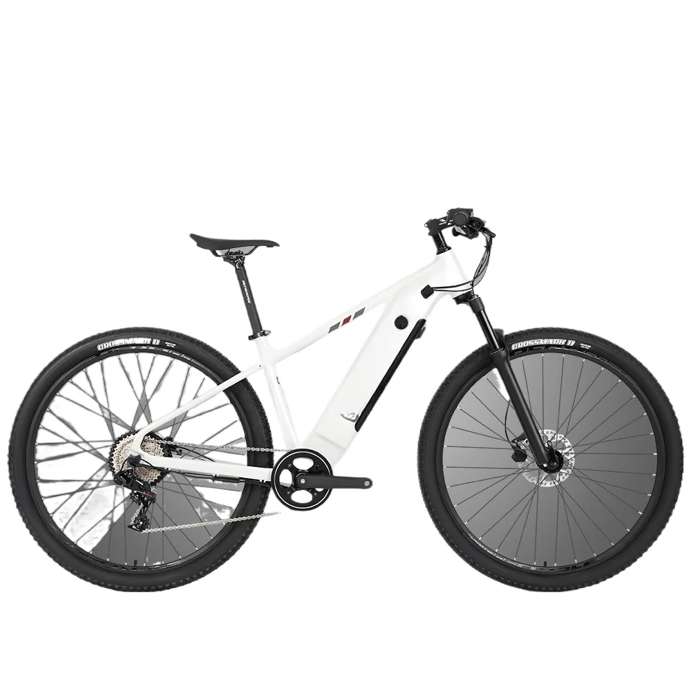 

electric bicycle, rear drive motor mountain electric moped 36V350W in-wheel motor
