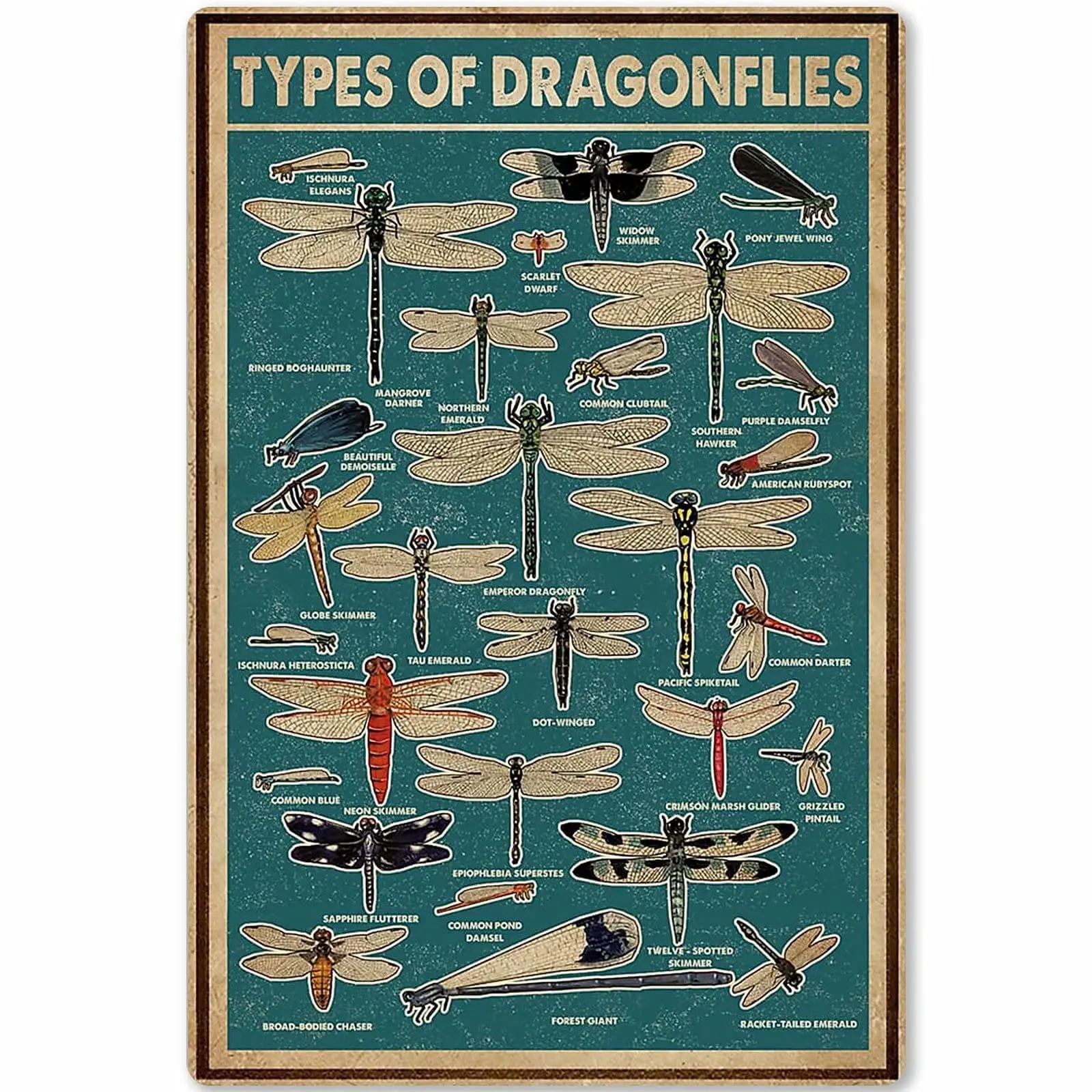 

Veidsuh Types of Dragonflies Vintage Novelty Funny Home Bathroom Bar Pub Cottage Farm Rustic Man Cave Parlor Garage Club Retro T