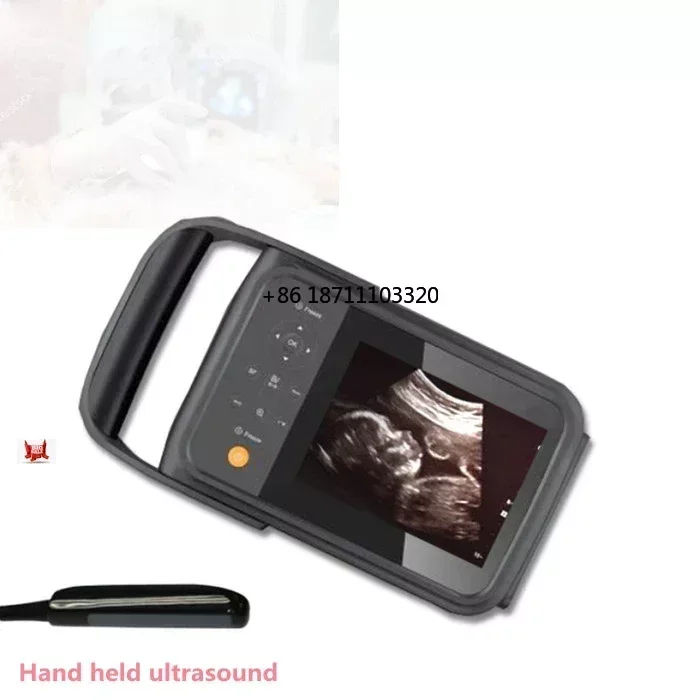 

SUN-808f Hand Held Portable Veterinary Hospital Ultrasound Scanner Device Convex probe wire probe