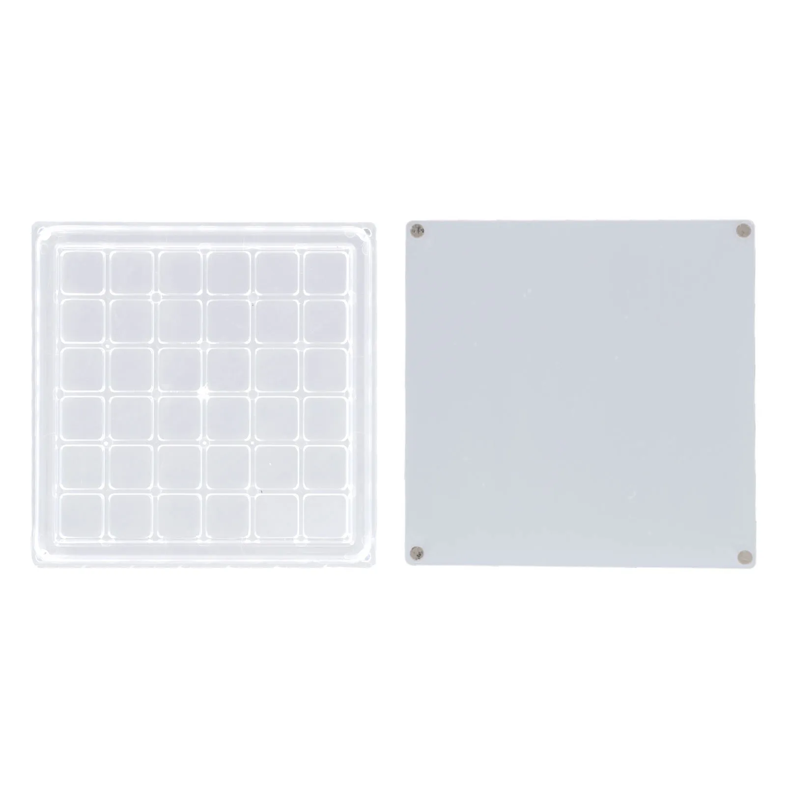 

Magnetic Seashell Display Box 36/64/100 Grids Clear Seashell Storage Box Transparent Acrylic Mini Seashell Collection Case